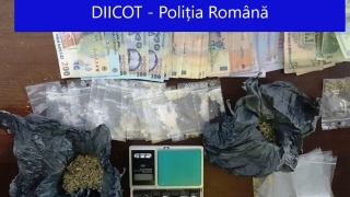 Traficanți de droguri, arestați de DIICOT la Constanța