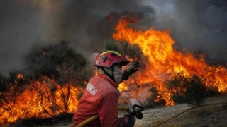 Incendiile de pădure continuă să devasteze Portugalia și Spania
