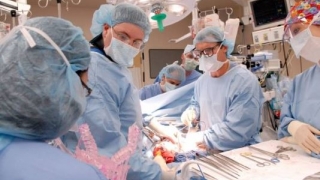 Turcia, locul 1 în lume la transplantul renal!