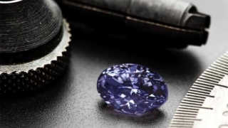 Un diamant violet rar a fost prezentat în Australia