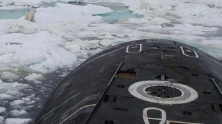 Un submarin nuclear rus a spart gheaţa de la Cercul Polar şi a primit vizita unui urs! Ce s-a întâmplat