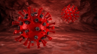 Coronavirus. În ultimele 24 de ore au fost raportate 69 de noi infecții cu coronavirus
