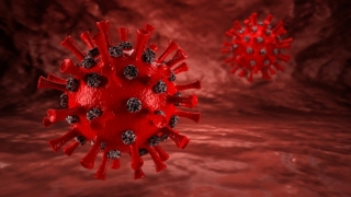 Coronavirus. În ultimele 24 de ore s-au înregistrat 7.424 de cazuri noi, din 34.901 teste. În același interval, au murit 394 de persoane