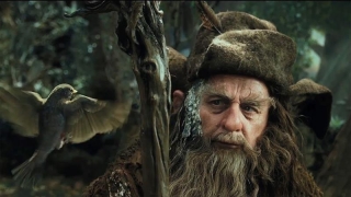 Vrăjitorul Radagast din „Hobbitul” vine în România