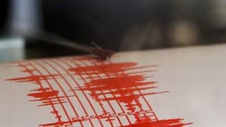 Cutremur cu magnitudinea 3,5 pe scara Richter în Vrancea