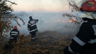 Incendiu puternic în Constanța! Pompierii au intervenit în forță!