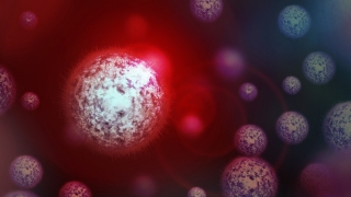 A fost descoperit un nou virus. 90% dintre genele sale nu se găsesc pe glob
