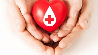 14 iunie, Ziua mondială a donatorului de sânge