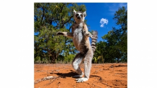 26 iunie - Ziua Naționala a Republicii Madagascar