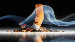 Ziua Mondială fără Tutun - 31 mai! Tutunul distruge inimi!