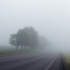 infotrafic: Ceață pe drumurile din mai multe județe