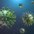 Coronavirus. Peste 2600 de cazuri noi raportate în ultimele 24 de ore