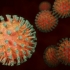 Coronavirus. 2.387 de cazuri noi de infectare în ultima săptămână