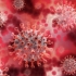 Coronavirus. 26 de decese raportate în ultima săptămână