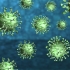 Coronavirus. În ultimele 24 de ore au fost raportate 56 de decese și 16.610 de noi cazuri de Covid