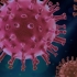 Coronavirus. Peste 10 mii de cazuri raportate în ultimele 24 de ore