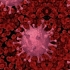 Coronavirus. 21 de decese raportate în ultima săptămână