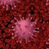 Coronavirus. În ultimele 24 de ore au fost raportate 146 de decese și peste 12 mii de noi cazuri de Covid