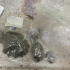 Un bărbat a fost prins de jandarmii constănțeni cu peste 100 de grame de canabis