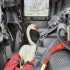 O lebădă a fost salvată de la îngheț de pompierii constănțeni