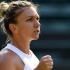 Simona Halep s-a oprit în turul secund la Roland Garros